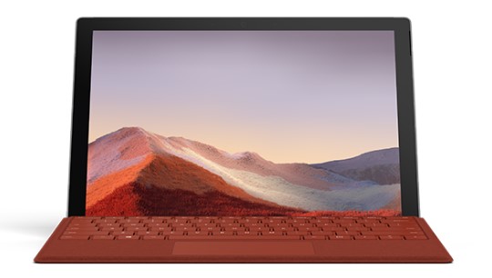 海尾镇清洁和维护 Surface